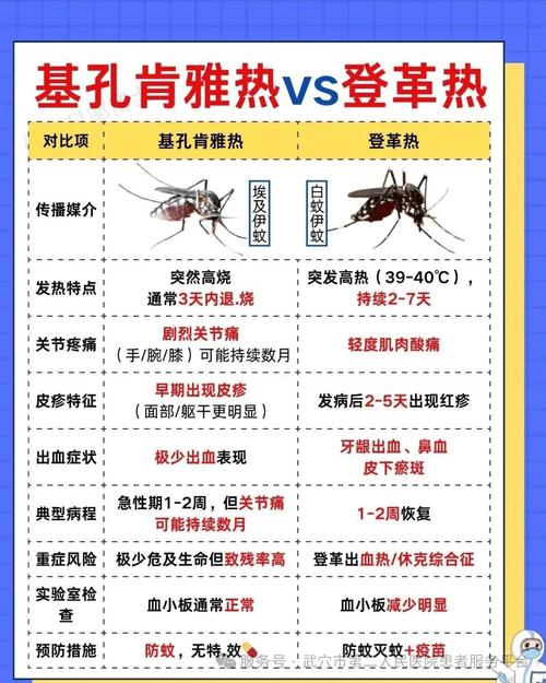 肯尼亚病毒会人传人吗？基孔肯雅热传播途径及国内疫情分布