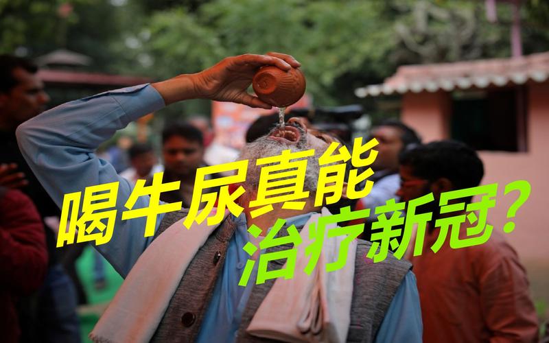 印度疫情激增破40万，世界各国援助，喝牛尿防新冠无科学依据