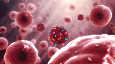 浙江新冠肺炎疫情防控新闻发布会相关情况及疫苗加强免疫动态