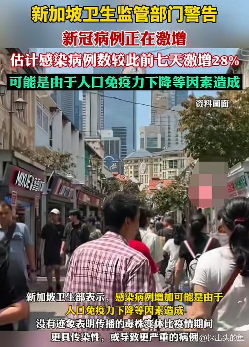 各国新冠确诊病例最新情况，新加坡新增49例达732例