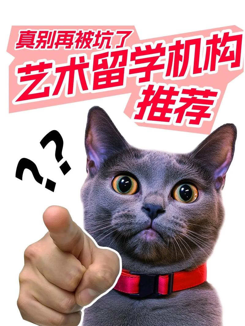 吉林永吉艺术留学中介推荐!这5家靠谱,别再被忽悠啦