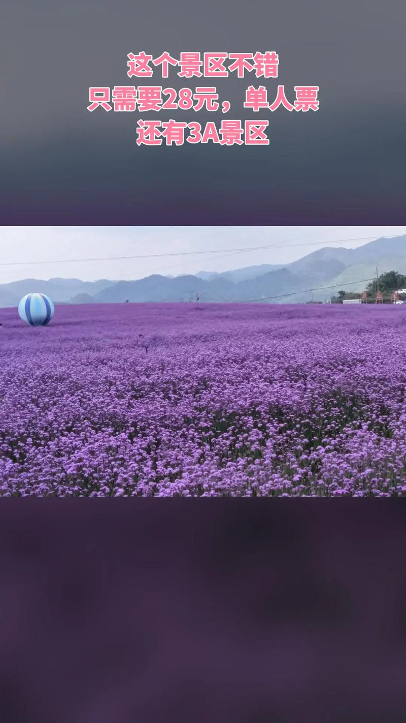 花溪石门锦绣田园花开时间及门票信息，泰安高风险区调整