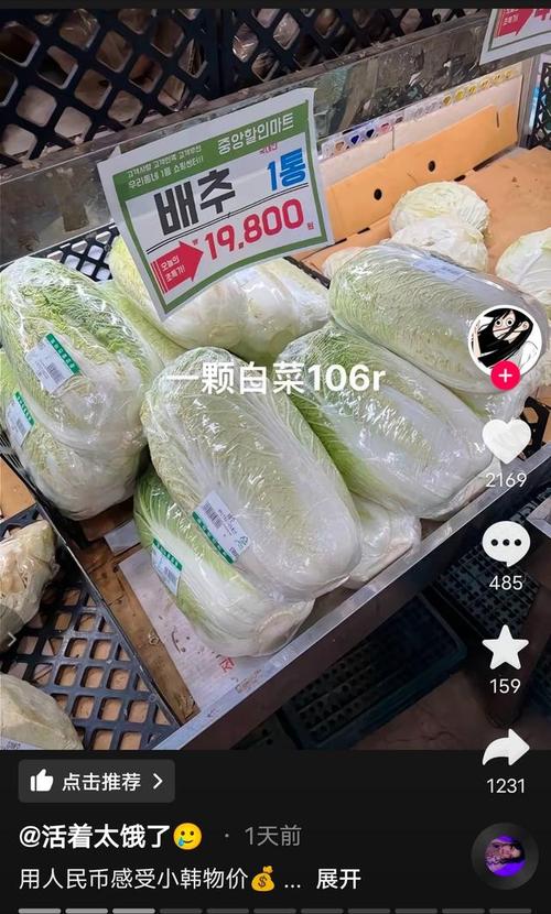 天价白菜事件频发，抚顺菜价因疫情上涨，韩国白菜也贵
