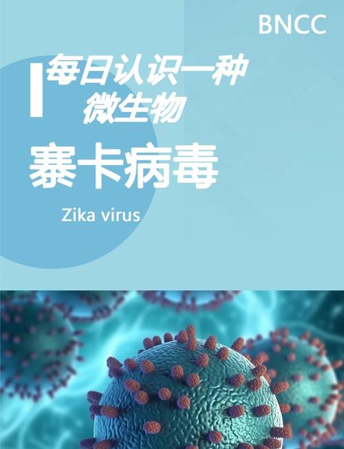 寨卡病毒有啥危害？会引发这些症状，还可能导致神经系统损伤