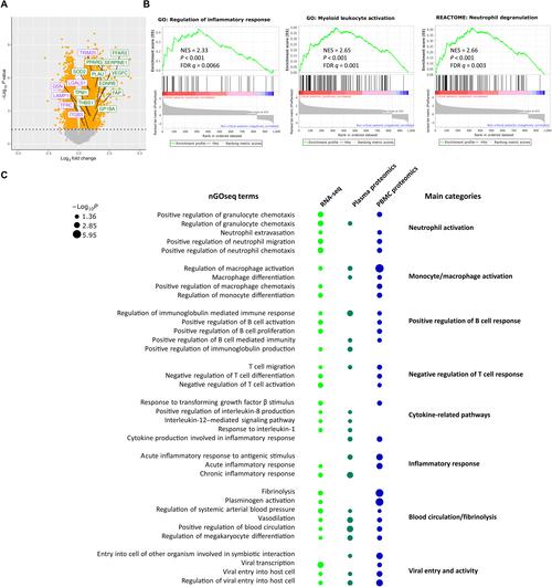 新冠感染者大脑尸检报告发布,奥斯本检核表法举例有哪些?